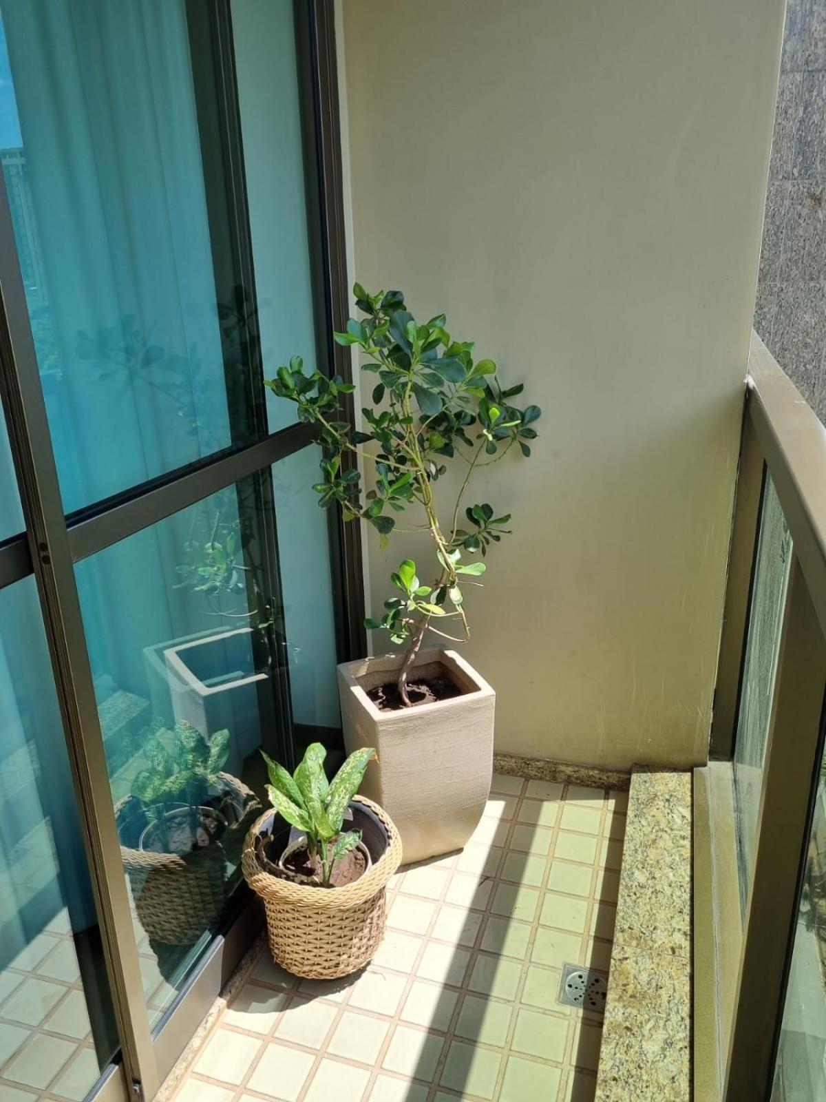 Flat Pancetti Apartment Belo Horizonte Ngoại thất bức ảnh